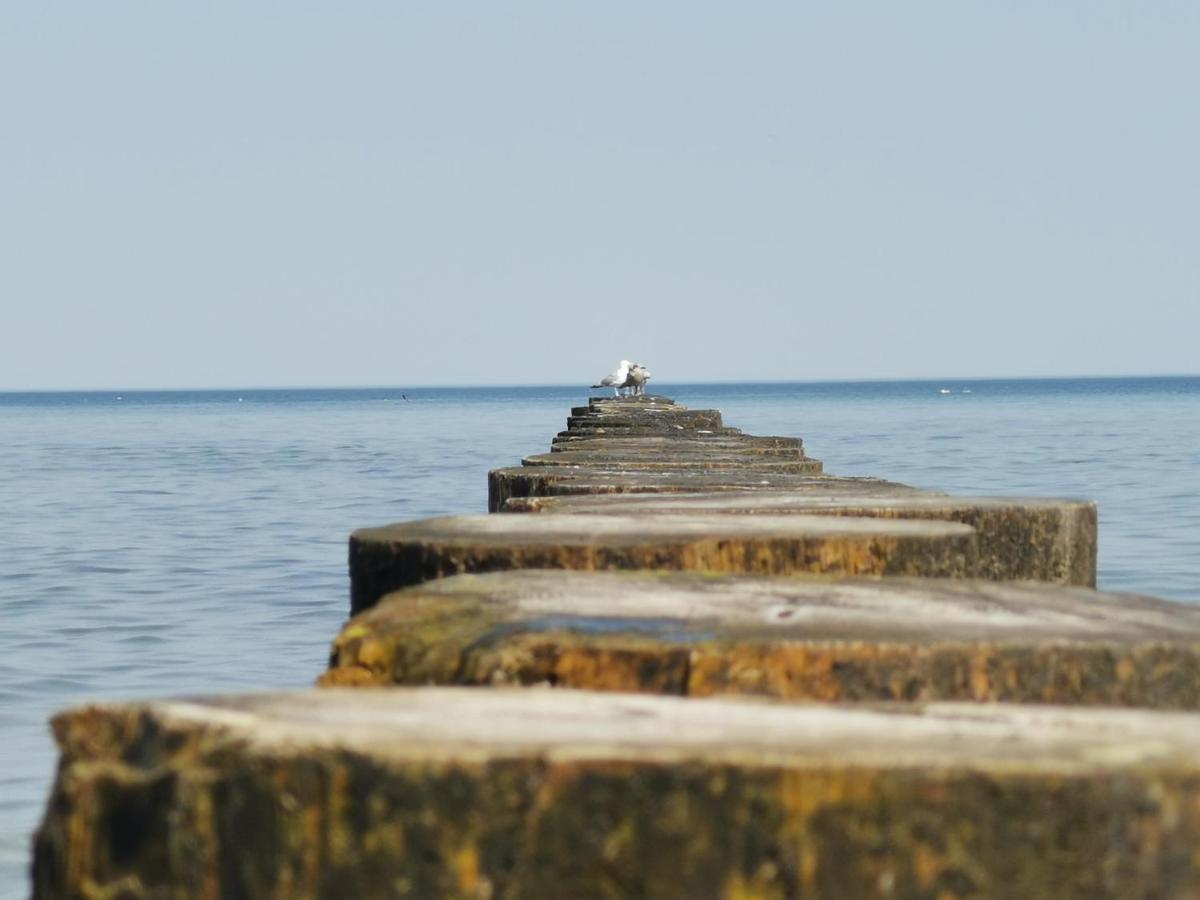 Goscinny Dom Kaola Rewal Buitenkant foto