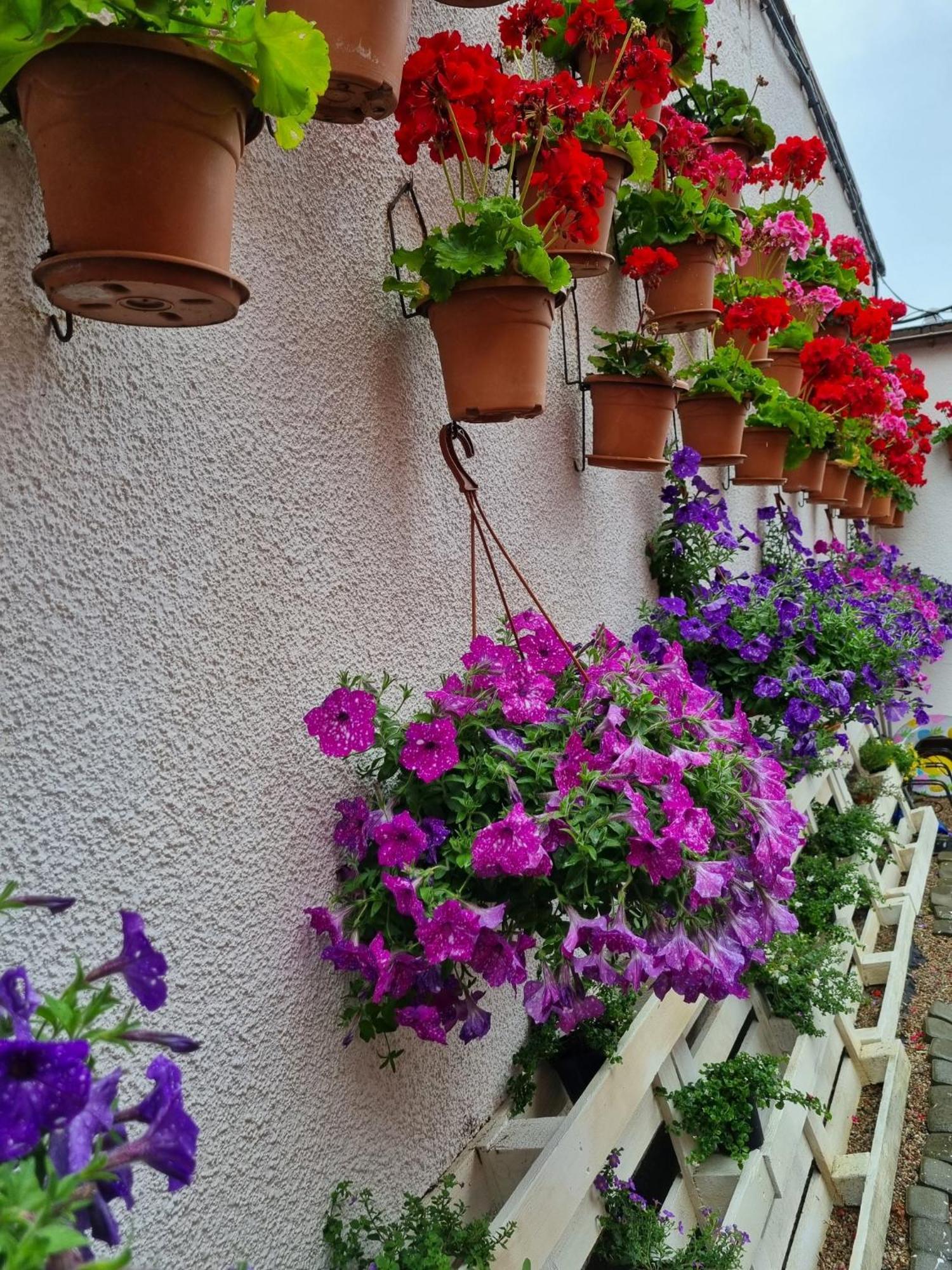 Goscinny Dom Kaola Rewal Buitenkant foto